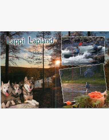 Lappi