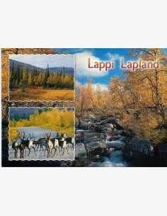 Lappi