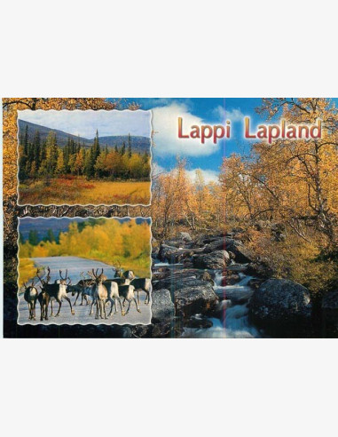 Lappi