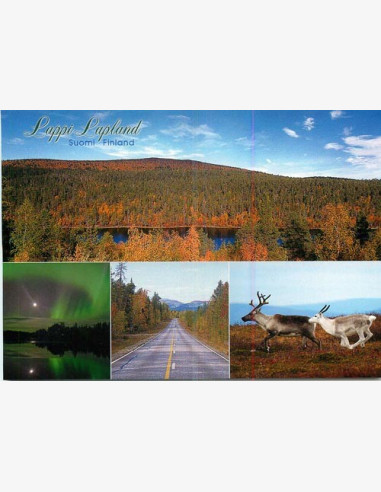 Lappi