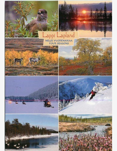Lappi