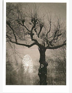 Taneli Eskola - Photo Memory -taidepostikortti