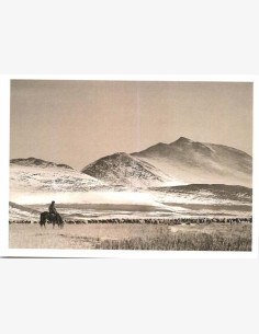 Taneli Eskola - Photo Memory -taidepostikortti