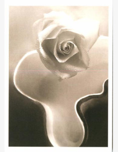 Taneli Eskola - Photo Memory -taidepostikortti