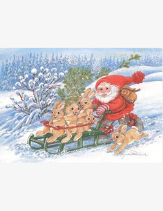 Marjaliisa Pitkäranta -joulukortti