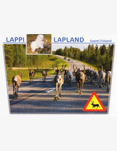 Lappi