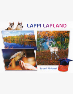Lappi