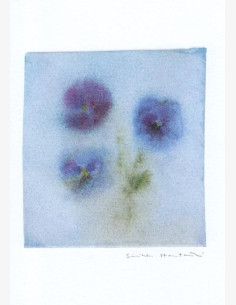 Sinikka Hautamäki -kortti