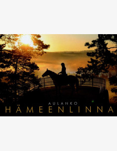 Aamu Aulangolla, Hämeenlinna