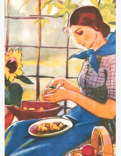 Martta Wendelin -klassikko