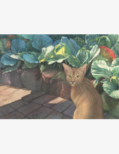 Matti Kota - Hermione