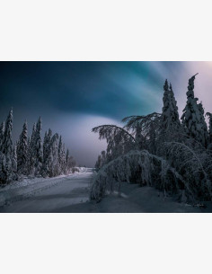 Talviyön hiljainen tie