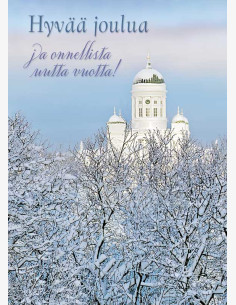 Taneli Eskola - Suurkirkko nähtynä Tähtitorninmäeltä