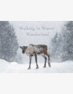 Raatteen tie, Suomussalmi