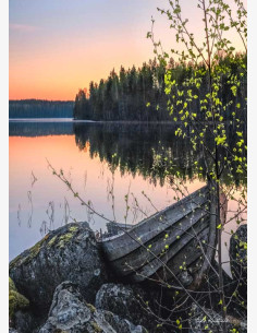Hiirenkorvat