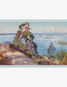 Eero Järnefelt - Maisema Kolilta