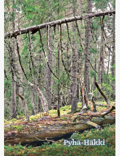 Taneli Eskola - Pyhä-Häkin kansallispuisto, Saarijärvi