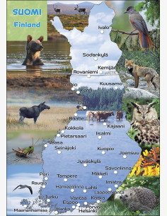 Suomi Finland