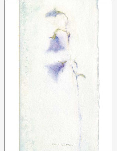 Sinikka Hautamäki -kortti