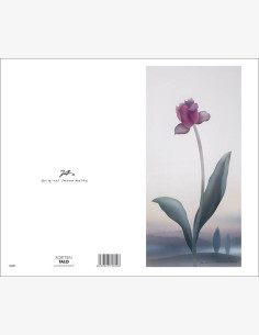 Jaana Aalto - Kukka (2-os.)