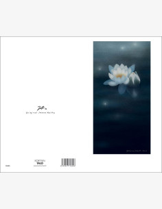 Jaana Aalto - Kukka (2-os.)