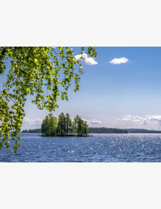 Suvituuli oksissa soittaa