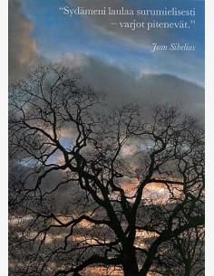 Jean Sibelius -kortti