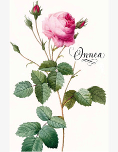 Nostalgia Onnittelu Ruusu -taitekortti (2-os)