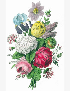 Nostalgia Onnittelu Kimppu -taitekortti (2-os)