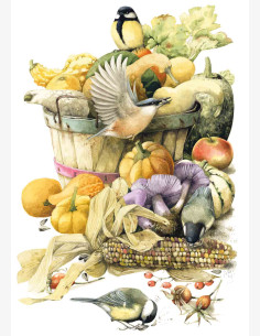 Marjolein Bastin -Nature’s Sketchbook-postikortti