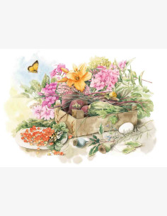 Marjolein Bastin -Nature’s Sketchbook-postikortti