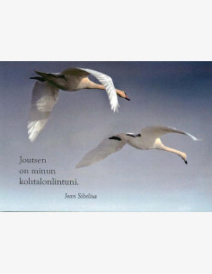 Jean Sibelius -kortti