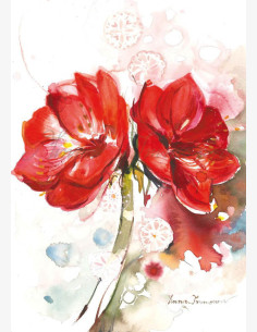 Amaryllis
