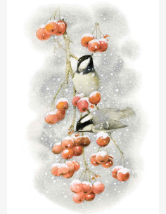 Marjolein Bastin -Nature’s Sketchbook-postikortti