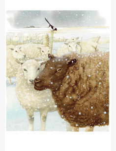 Marjolein Bastin -Nature’s Sketchbook-postikortti