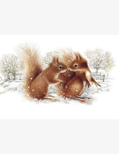 Marjolein Bastin -Nature’s Sketchbook-postikortti