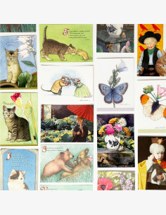 Matti Kota -korttilajitelma 20 kpl / Rajoitettu erä!