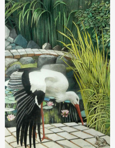 Matti Kota - Kattohaikara