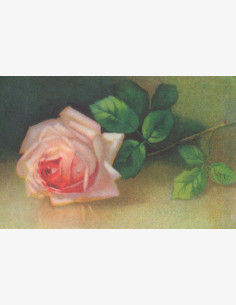 Näköispainos: Ruusu (2-os.)