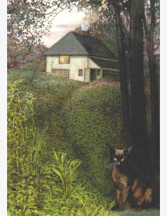 Matti Kota - Petojen aika