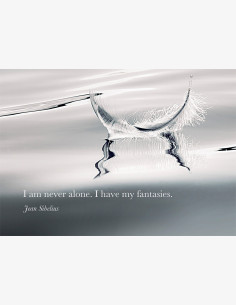 Jean Sibelius -kortti