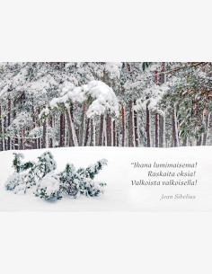 Jean Sibelius -kortti
