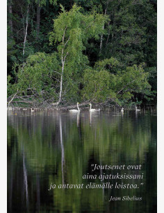 Jean Sibelius -kortti