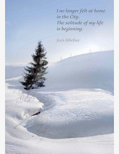 Jean Sibelius -kortti
