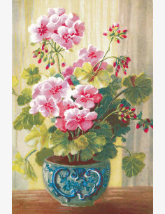 Näköispainos: Pelargonia