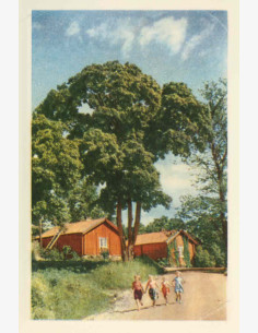 Näköispainos: Lapset