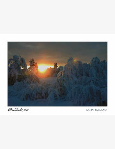 Ritva Reinilä, ARPS -valokuvapostikortti