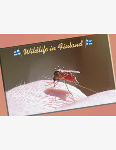 Magneetti / Wildlife in Finland