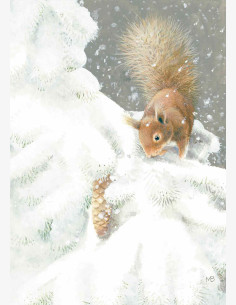 Marjolein Bastin -Nature’s Sketchbook-joulukortti