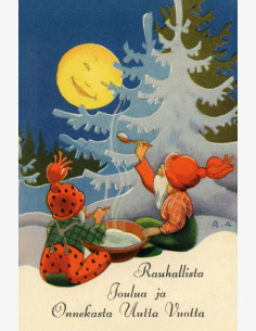 Rudolf Koivu: Näköispainos